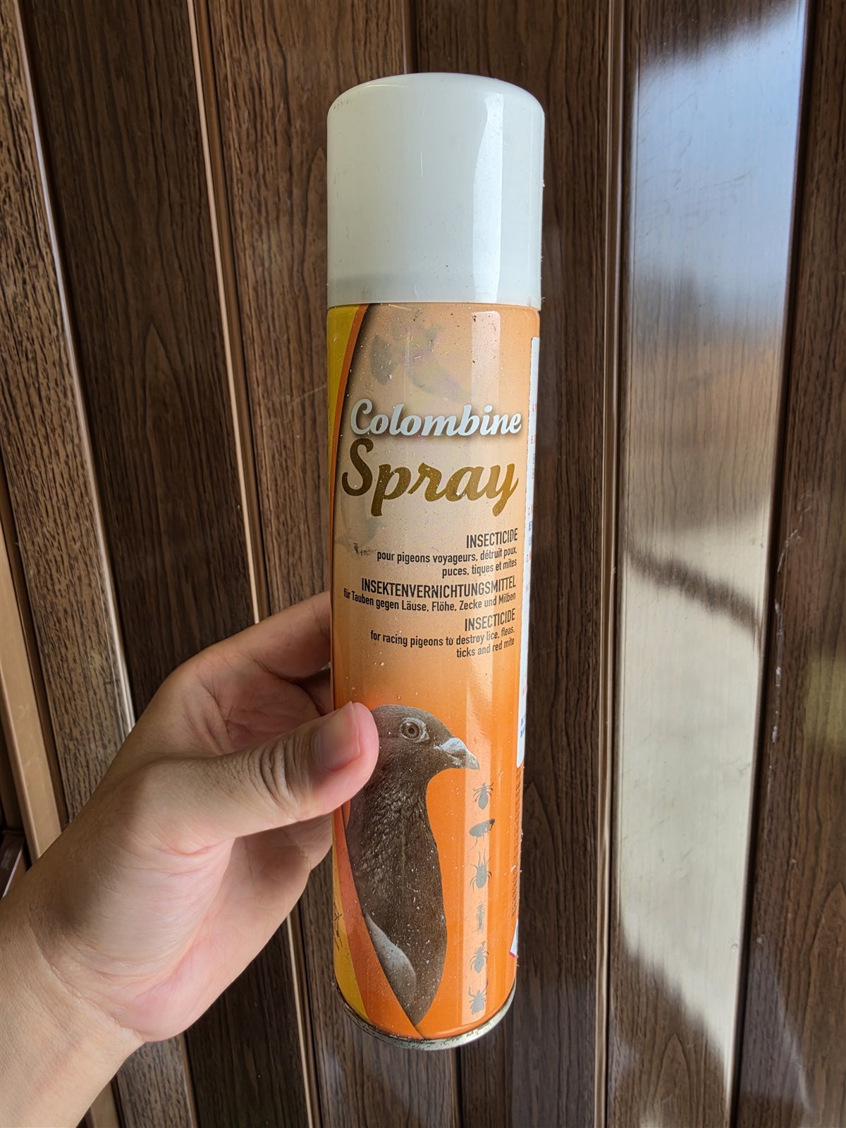 手上拿著一罐 Colombine Spray 鴿用除蟲噴劑